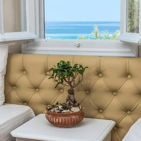 Coral *