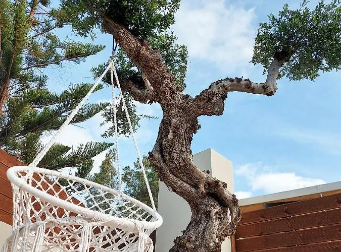 Coral * Трагаки